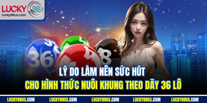 Lý do làm nên sức hút cho hình thức nuôi khung theo dãy 36 lô