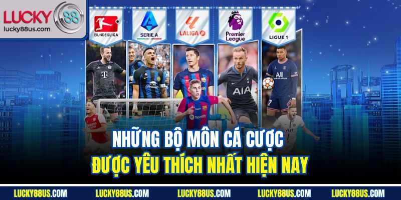 Những bộ môn cá cược được yêu thích nhất hiện nay